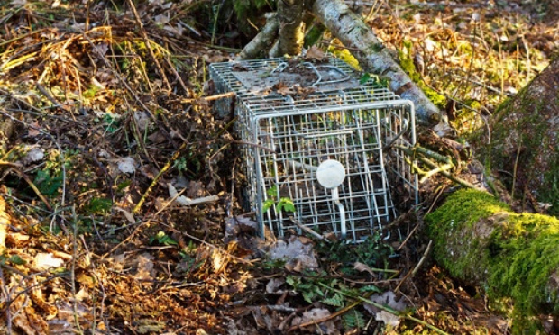 Stop à la chasse près des habitations