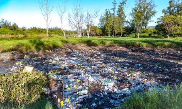 Arrêtons le plastique à l'île de la Réunion !