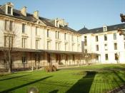 Sauvetage des chats de l'hôpital St Julien de Nancy