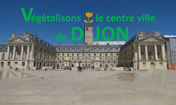 Canicules à répétition : Végétalisons Dijon !