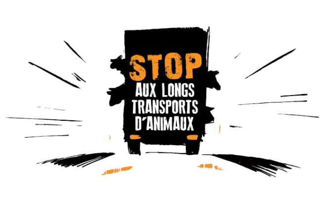 STOP AUX SOUFFRANCES INACCEPTABLES SUBIES PAR LES ANIMAUX DURANT LES TRANSPORTS