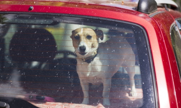 Justice pour le Jack mort asphyxié dans un coffre