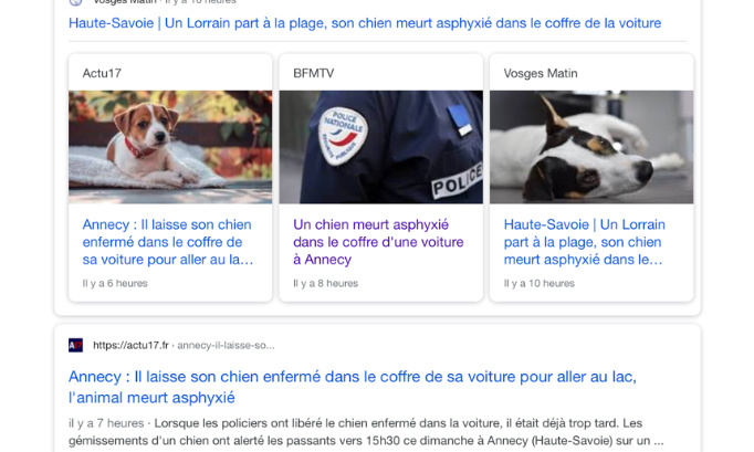 JUSTICE POUR CE CHIEN MORT DE CHALEUR DANS LE COFFRE DE LA VOITURE DE SON MAÎTRE EN PLEINE CANICULE !