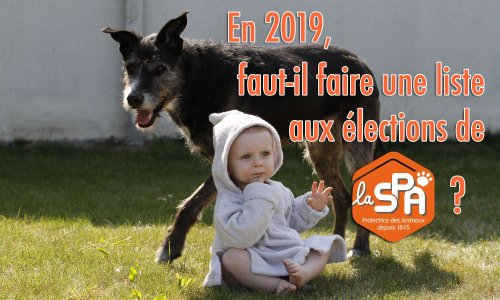 Dois-je constituer une liste de candidats pour les élections de la SPA en juin 2019 ?