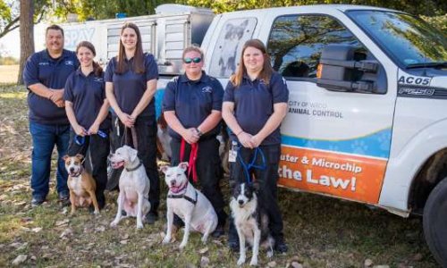 Êtes-vous pour la création d'une police animale, indépendante de la police nationale, en Belgique (Wallonie) ?