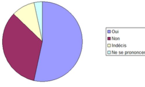 Pour qui voterez-vous le 26 mai ?