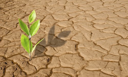 Tendance verte au Parlement Européen : selon vous, y aura-t-il un impact sur l'environnement ?