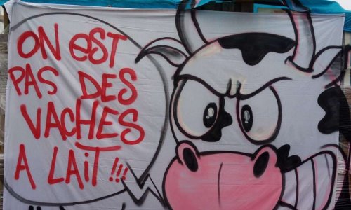 Soutenez-vous les revendications des gilets jaunes ?