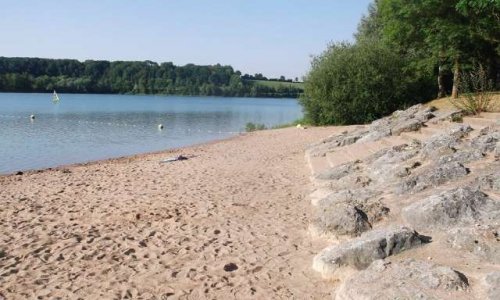 Seriez-vous prêt à manifester votre ras-le-bol sur les interdits d'accès aux plages avec votre toutou ?