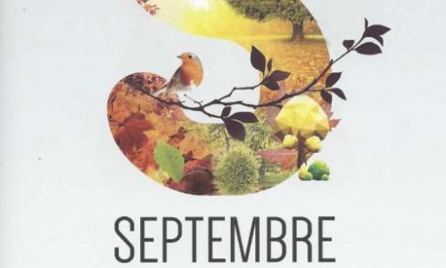 Etes-vous pour une forte mobilisation en septembre 2019 contre le gouvernement ?