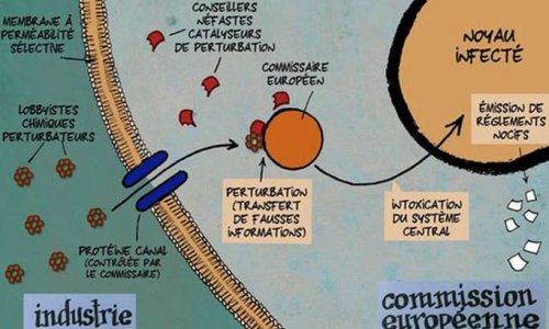 Êtes-vous sensibles aux perturbateurs endocriniens dans l'achat de vos produits de consommations ?