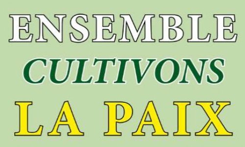 Soutenez-vous toujours les actions des gilets jaunes ?