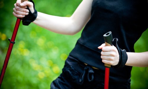 Au vue des circonstances actuelles, que souhaitez faire ?