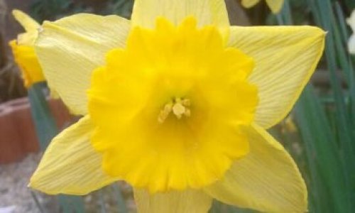 VOTEREZ-VOUS POUR M. ZEMMOUR COMME PRESIDENT S’IL SE PRESENTAIT?