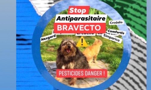 Par mesure de sécurité, êtes-vous favorable au BOYCOTT de ces ANTIPARASITAIRES contenant des PESTICIDES tels que BRAVECTO.....et autres dérivés de la classe chimique ISOXAZOLINE..?