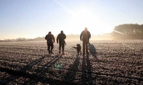Êtes vous pour l'abolition de la chasse sous toutes ses formes (chasse traditionnelle, chasse à courre...)?