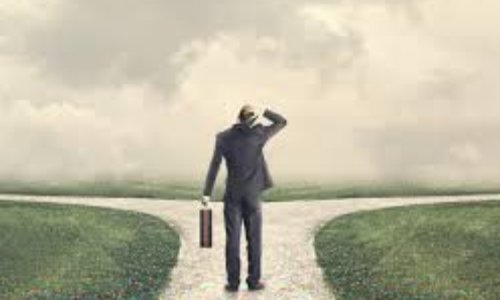 Choix du nom du collectif "Interruption chasse dimanche" : Nature&amp;nous