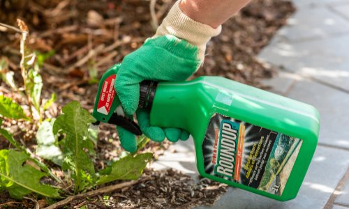 Êtes-vous pour l'interdiction définitive du glyphosate en France ?