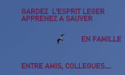 Seriez-vous intéressé (e) par une formation du 