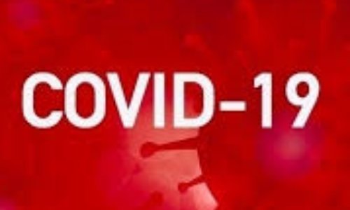 Faites-vous confiance au gouvernement pour faire face au COVID-19