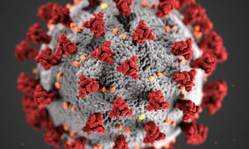 Êtes vous convaincu que le gouvernement français maîtrise la situation du coronavirus ?