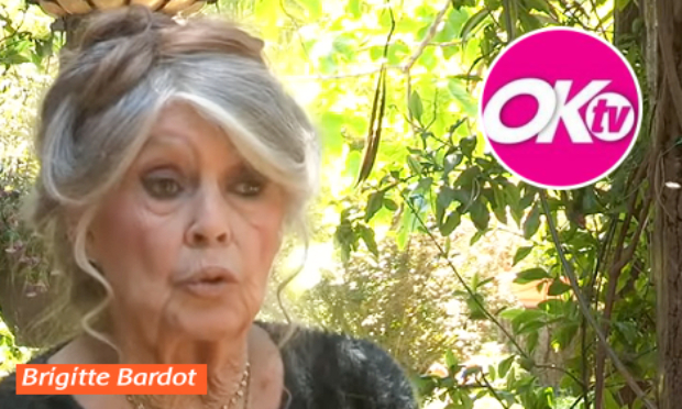 Soutenez-vous toujours Brigitte Bardot malgré ses dérapages verbaux ?