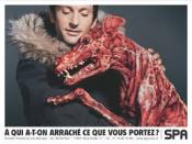 Peut-on continuer à ignorer le sort que réserve l'industrie de la fourrure chinoise aux animaux  ?