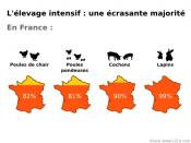 Pour éviter le réchauffement climatique, êtes-vous prêt à changer vos habitudes alimentaires ?
