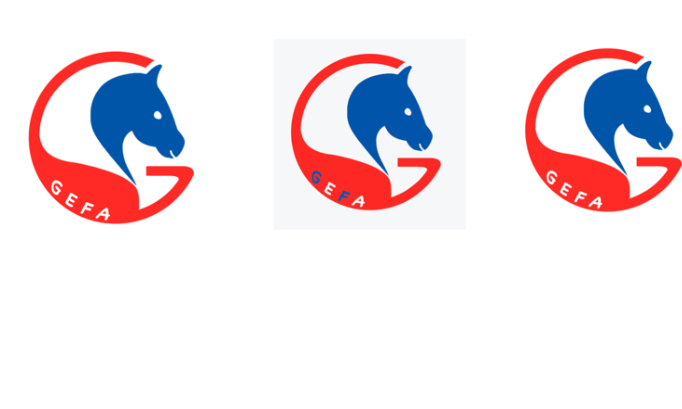 Pensez-vous que les 546 224 licenciés à la fédération française d'équitation -FFE- doivent obtenir le droit de vote ?