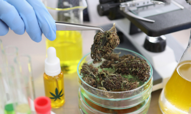 Pensez-vous qu'il faille assouplir la législation en matière de cannabis en France ?