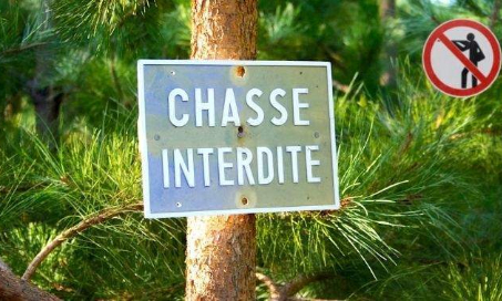 Etes vous pour on contre la chasse en FRANCE