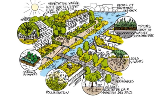 Etes-vous favorable à stopper immédiatement l'extension de la bétonisation des sols agricoles ou forestiers dans la Loire ?
