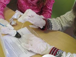 Pour ou contre la dissection à l'école?