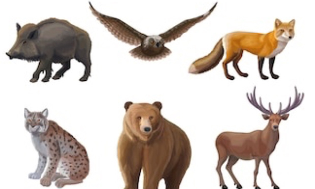 Considères-vous les animaux comme des biens humains?