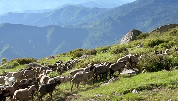 Quel est le plus beau département de France ?