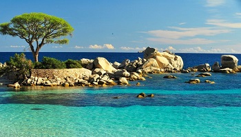 Souhaitez-vous que la Corse devienne une République autonome (avec une très large autonomie),  au sein de la France ?