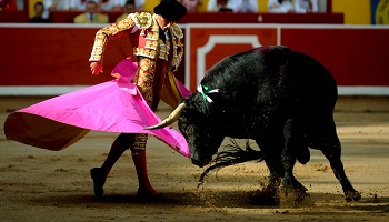 Faut-il interdire la corrida aux enfants de moins de 14 ans ?
