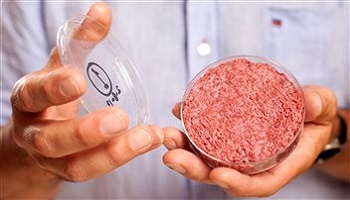 Si vous vous dites respectueux de la vie des animaux, accepteriez-vous de manger de la viande synthétique?