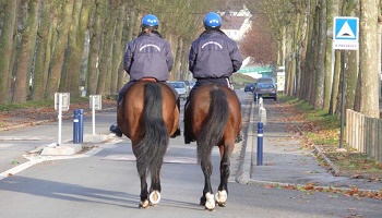 Souhaitez-vous conserver la police montée ?