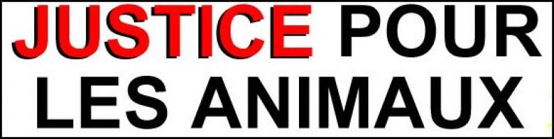 Seriez-vous d'accord que l'état crée une police ou une gendarmerie animalière ?