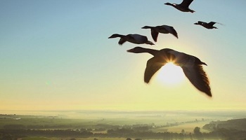 Quel est le plus beau pays du monde selon vous ?