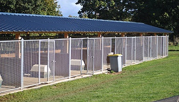 Pour ou contre un élevage canin plus respectueux ?