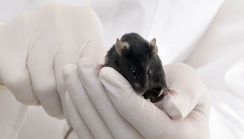 Etes-vous pour l'obligation d'informer le consommateur sur les produits testés sur les animaux ou pas, par une mention ou un logo sur le produit ?