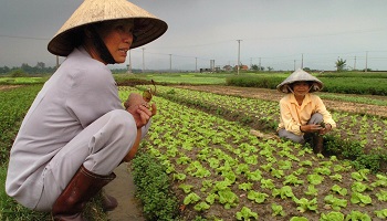 A la question de, la collectivisation des terres et des biens de production diriez vous que :