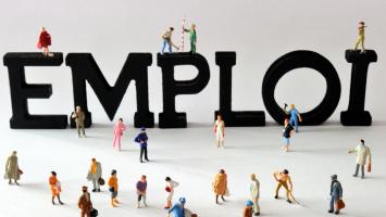 Il y a 500.000 offres d'emplois sur pole-emploi.fr pour 6 000 000 demandeurs d'emplois. La formation est-elle la situation contre le chômage ?