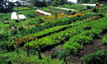 Connaissez-vous la permaculture ?