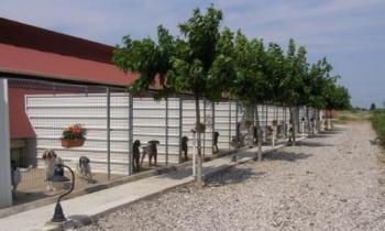 Pour ou contre concevoir, ensemble,un élevage canin respectueux ?