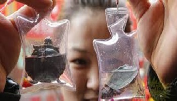 Pourquoi faire cela ?