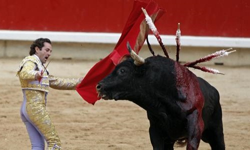 La corrida devrait-elle être interdite ?