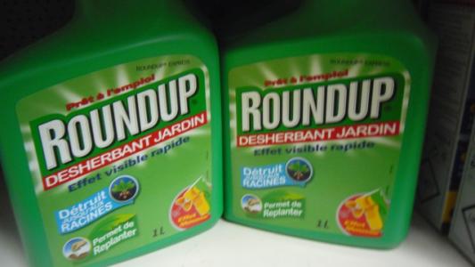Savez-vous que les communes n'ont plus le droit d'utiliser de désherbant ?